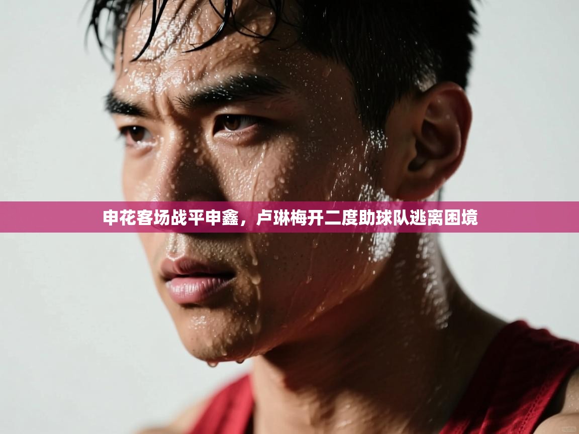 申花客场战平申鑫，卢琳梅开二度助球队逃离困境  第1张