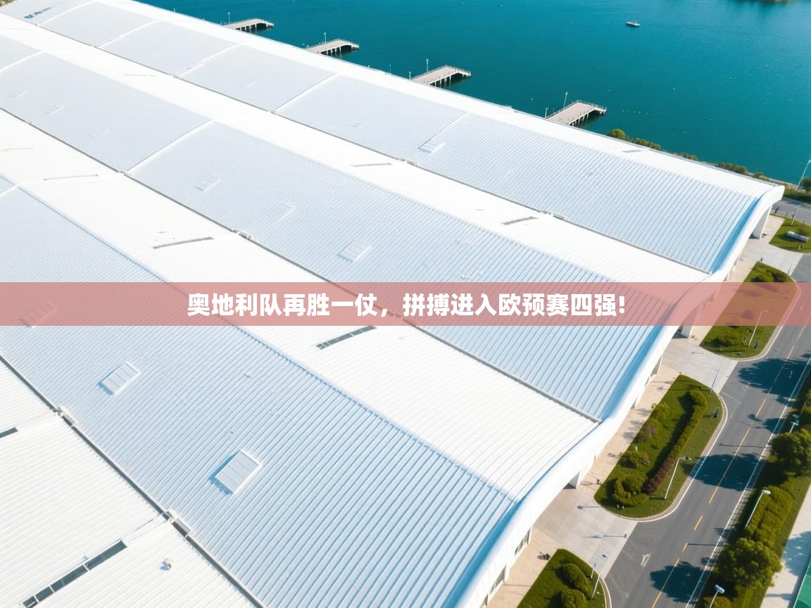 奥地利队再胜一仗，拼搏进入欧预赛四强!