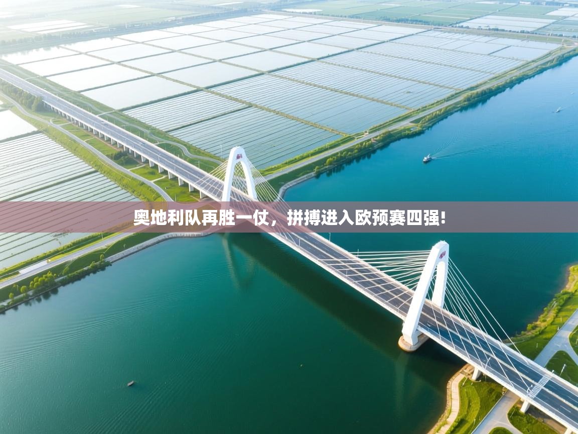 奥地利队再胜一仗，拼搏进入欧预赛四强!  第2张