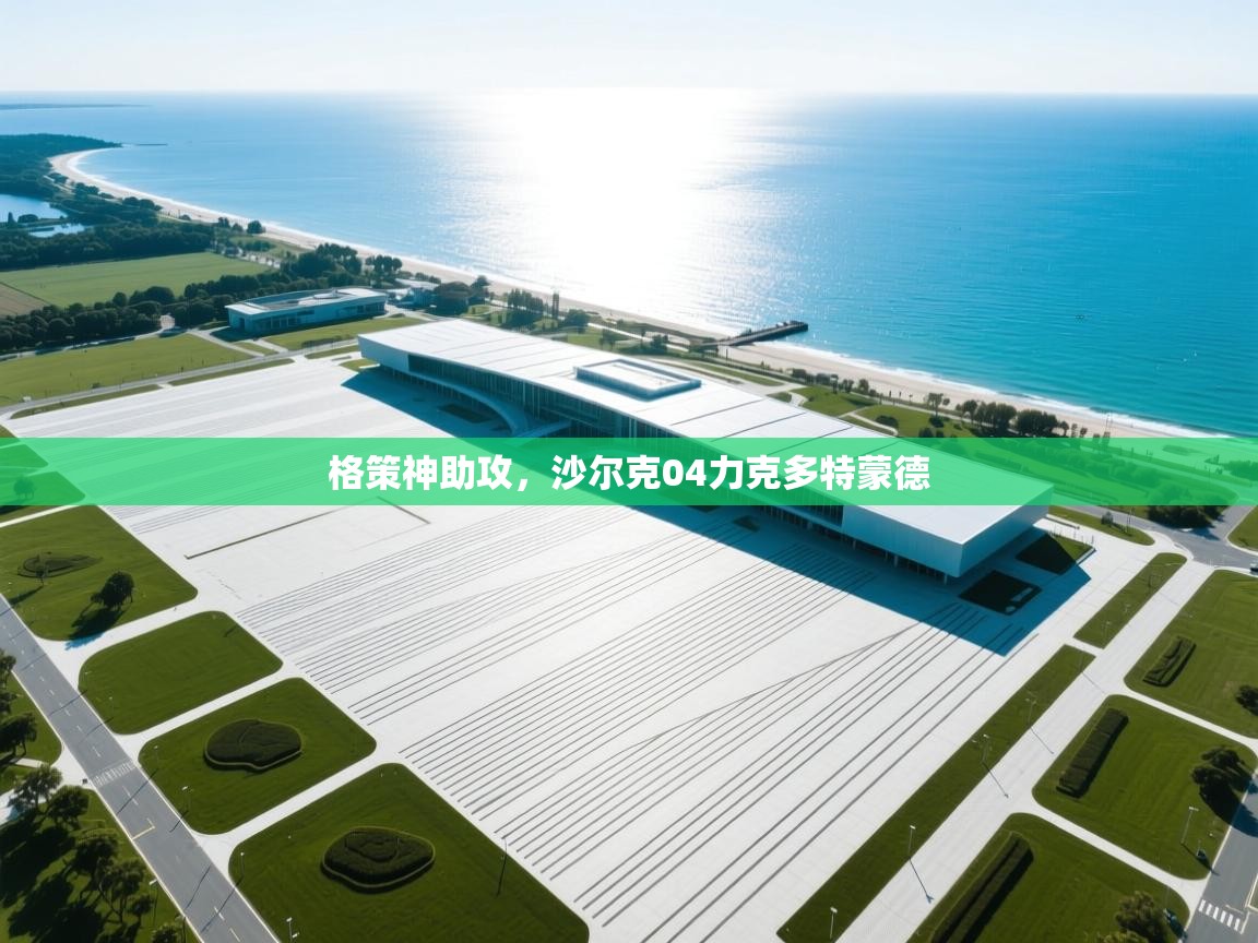 格策神助攻，沙尔克04力克多特蒙德  第1张