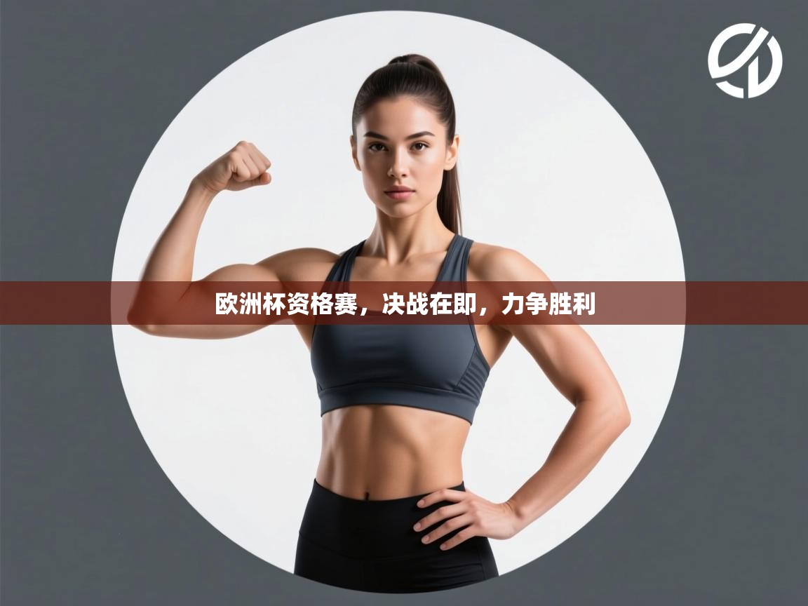 欧洲杯资格赛，决战在即，力争胜利  第2张